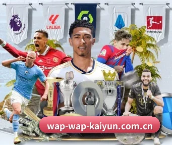 Kaiyun APP